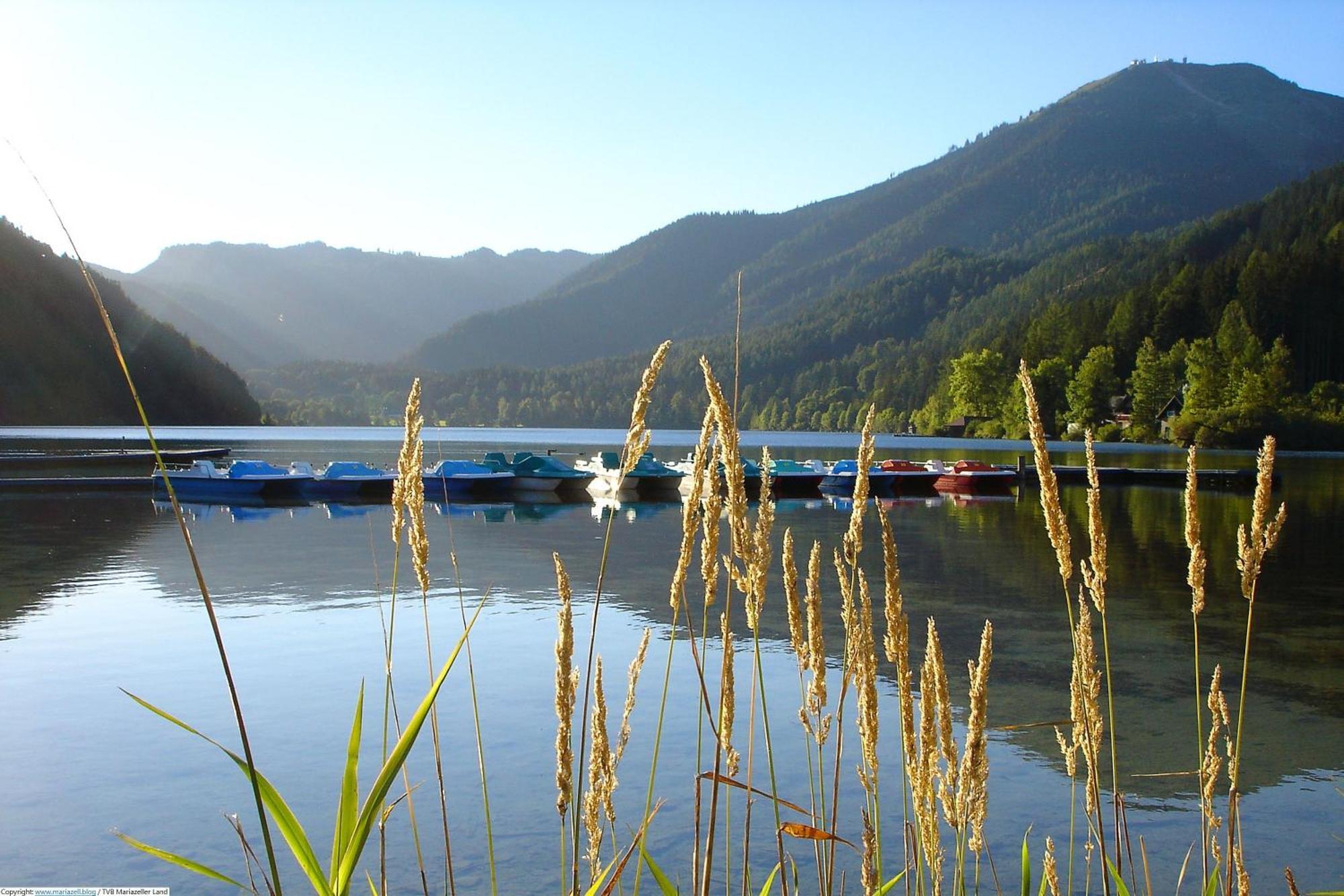 Familie Zuser Hotel Garni Mitterbach am Erlaufsee Extérieur photo